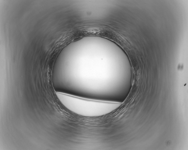 X0000094361394200711021325
