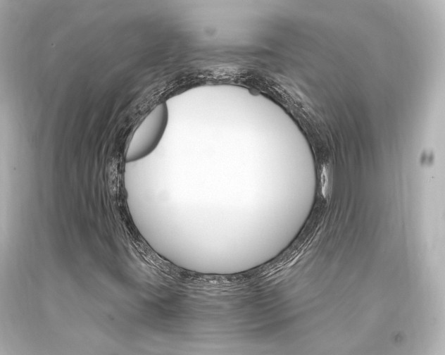 X0000094361395200711021325