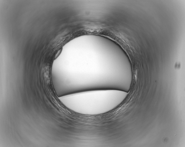 X0000094361396200711021325