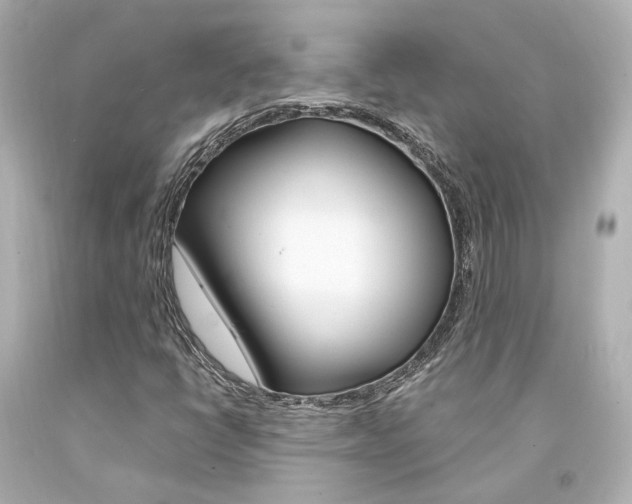 X0000094361398200711021325