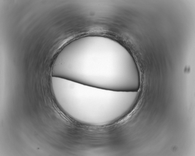 X0000094361401200711021325
