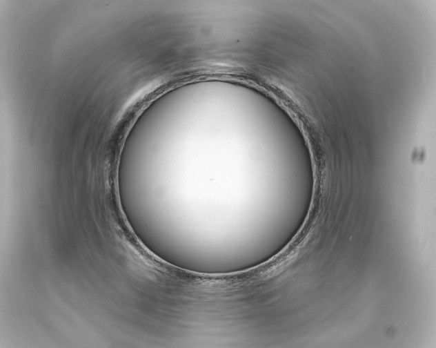 X0000094361402200711021325