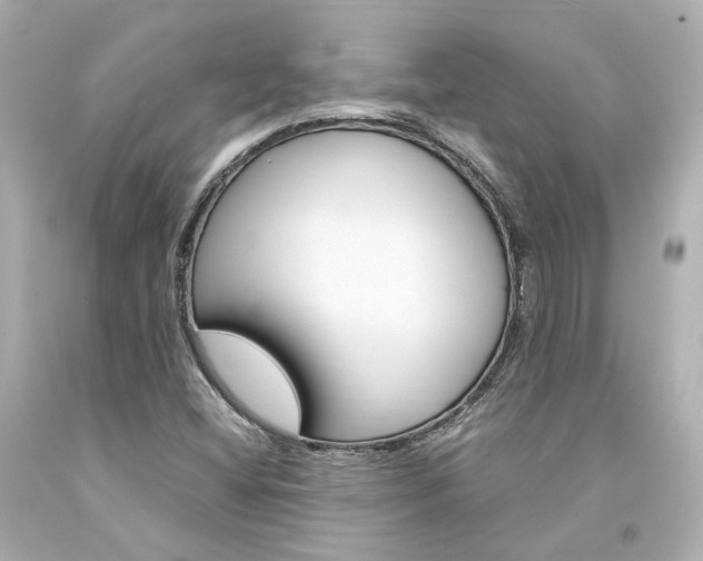 X0000094361404200711021325