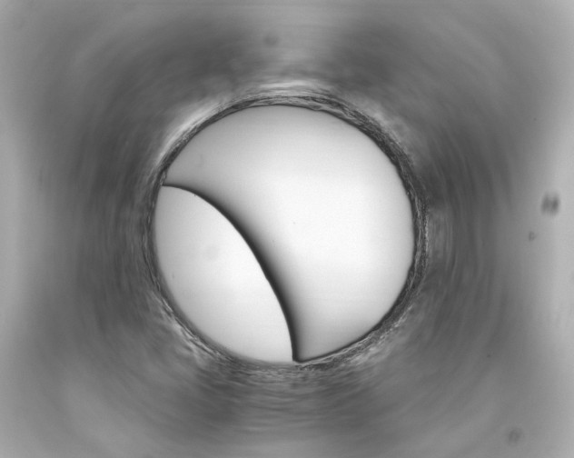 X0000094361405200711021325