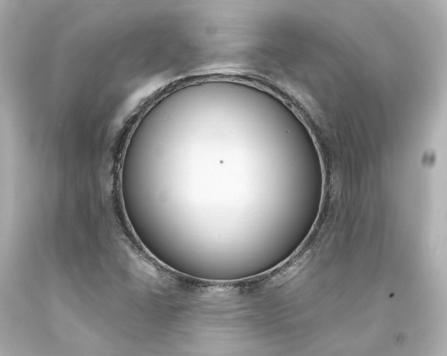 X0000094361406200711021325
