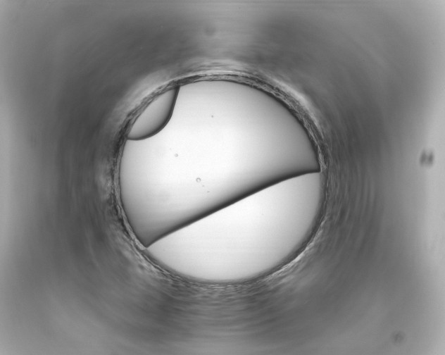 X0000094361407200711021325