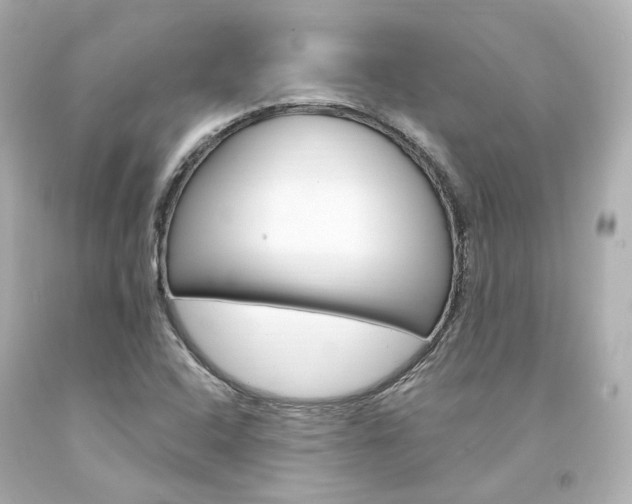 X0000094361408200711021325