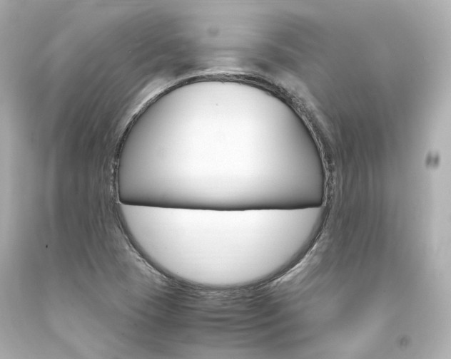 X0000094361409200711021325
