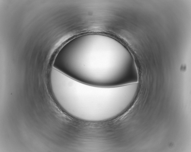 X0000094361410200711021325