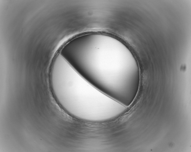 X0000094361412200711021325