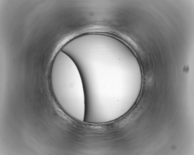 X0000094361413200711021325
