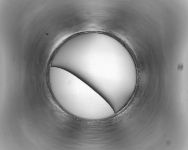 X0000094361415200711021325