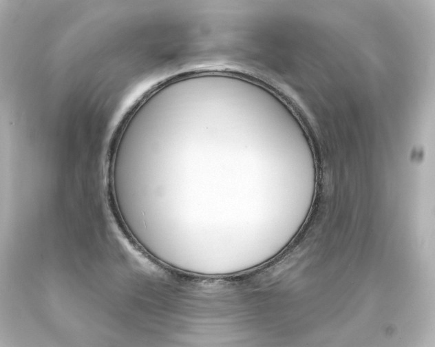 X0000094361416200711021325