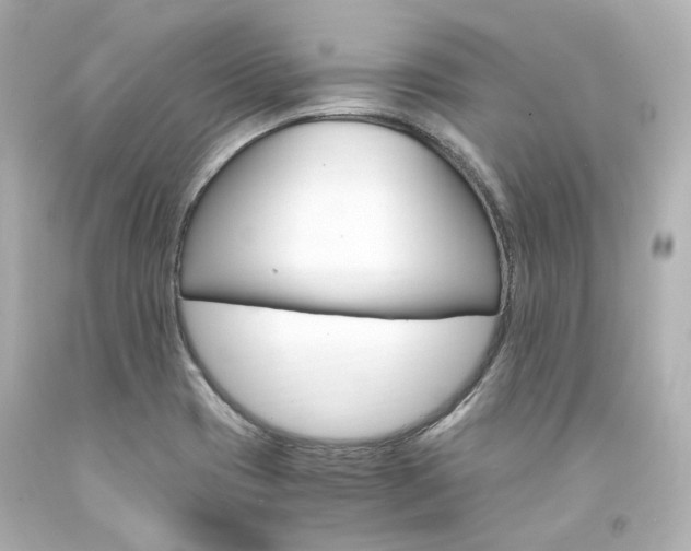 X0000094361417200711021325