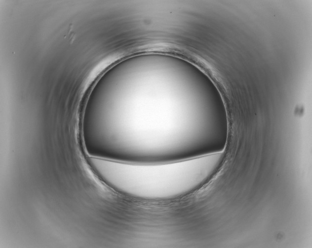 X0000094361418200711021325