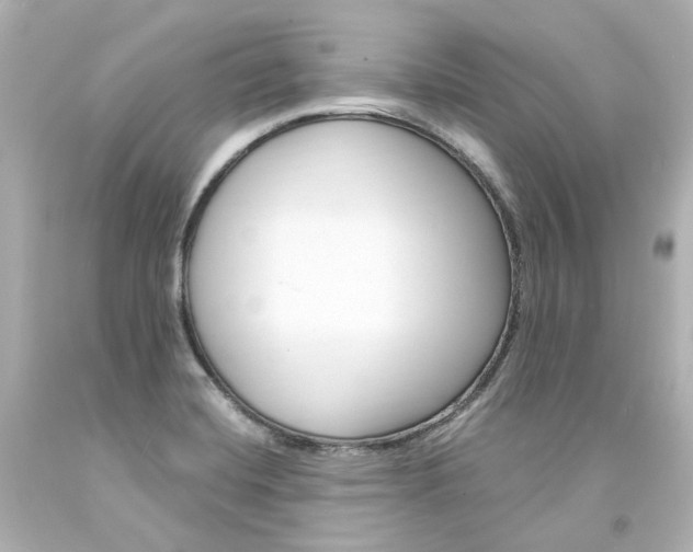 X0000094361420200711021325