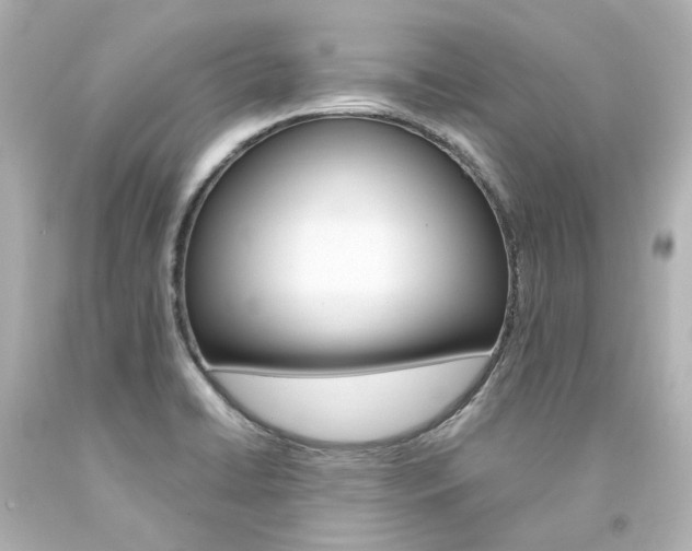 X0000094361422200711021325