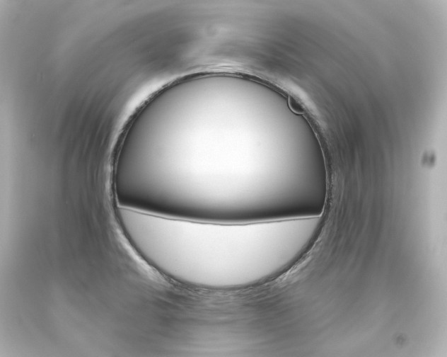 X0000094361424200711021325