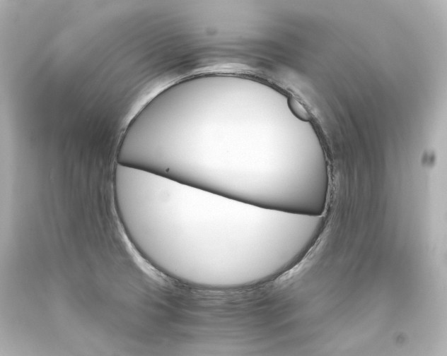 X0000094361425200711021325