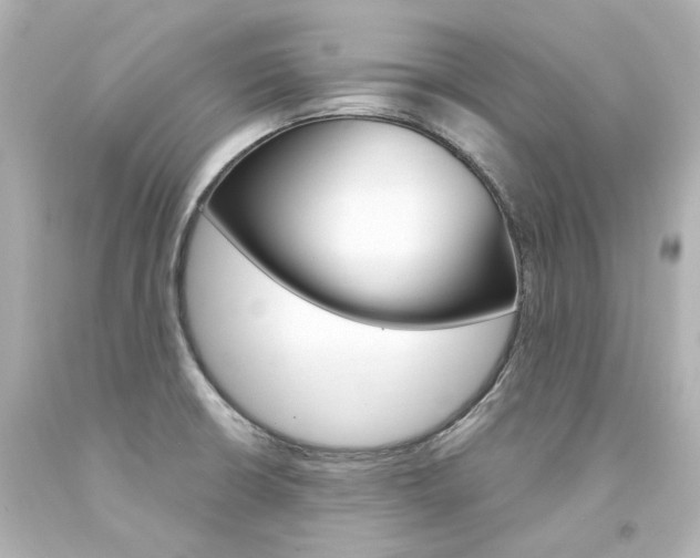 X0000094361426200711021326