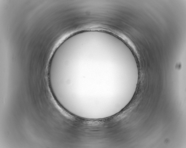 X0000094361429200711021326