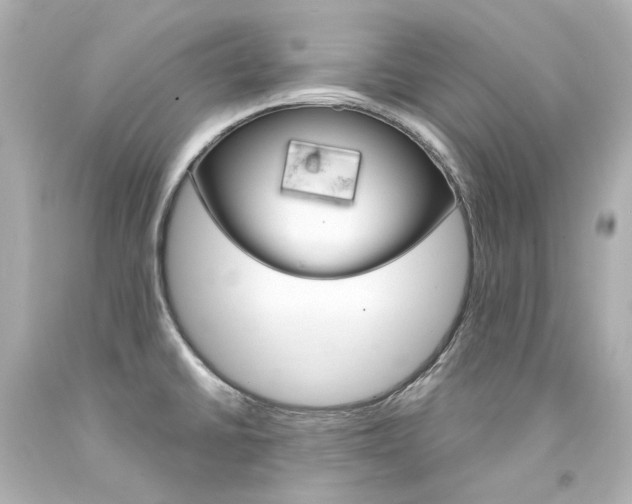 X0000094361430200711021326