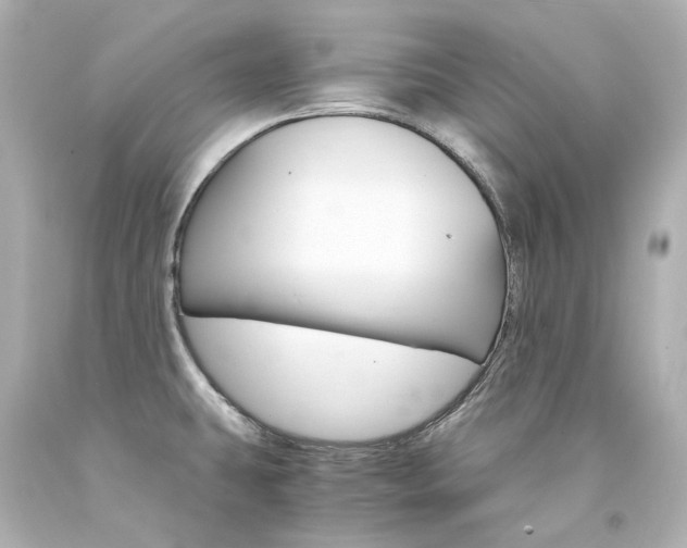 X0000094361431200711021326
