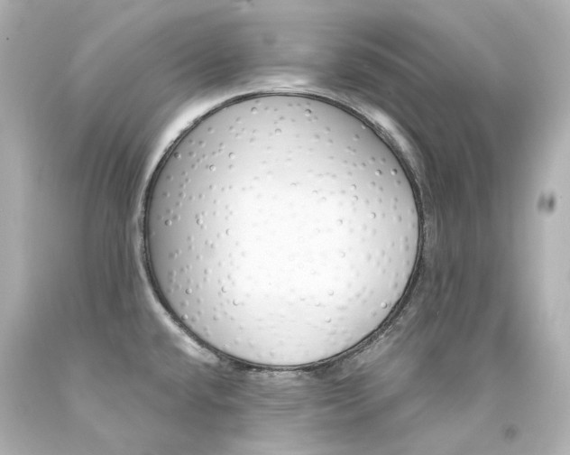 X0000094361432200711021326