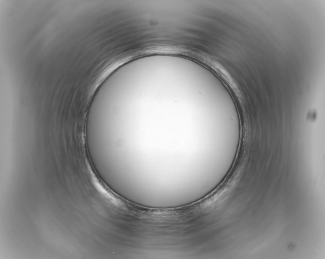 X0000094361433200711021326