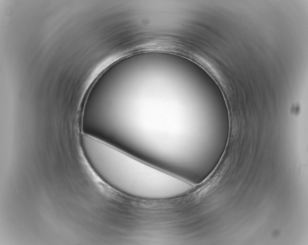 X0000094361434200711021326