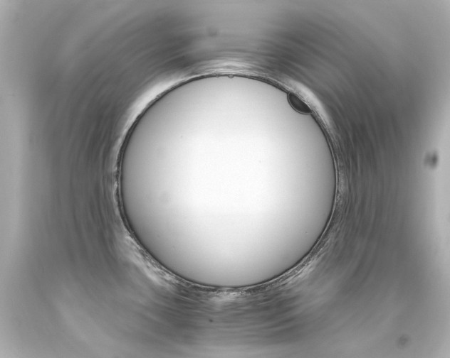 X0000094361435200711021326