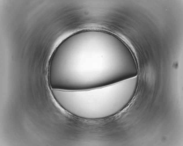 X0000094361437200711021326