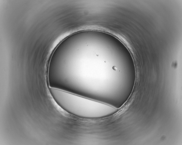 X0000094361438200711021326