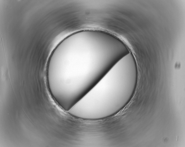 X0000094361440200711021326