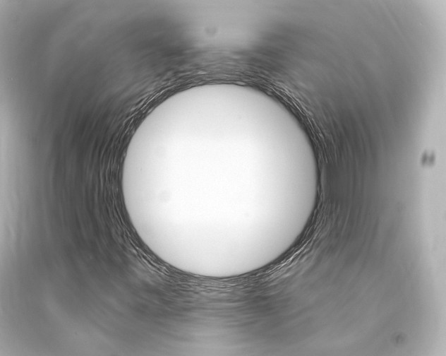 X0000094361443200711021325