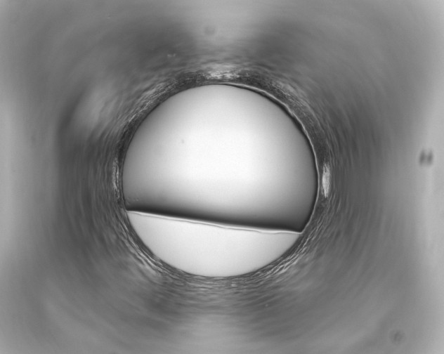 X0000094361444200711021325