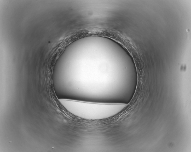 X0000094361445200711021325