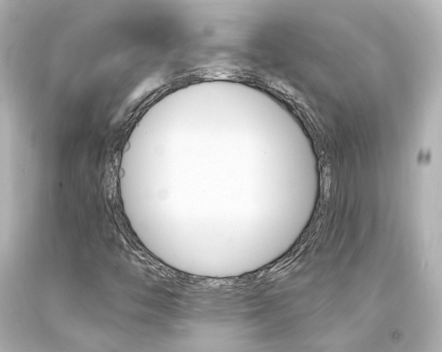 X0000094361446200711021325