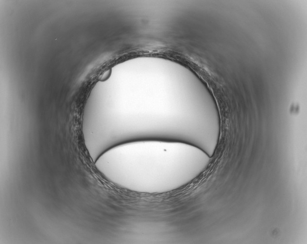 X0000094361447200711021325