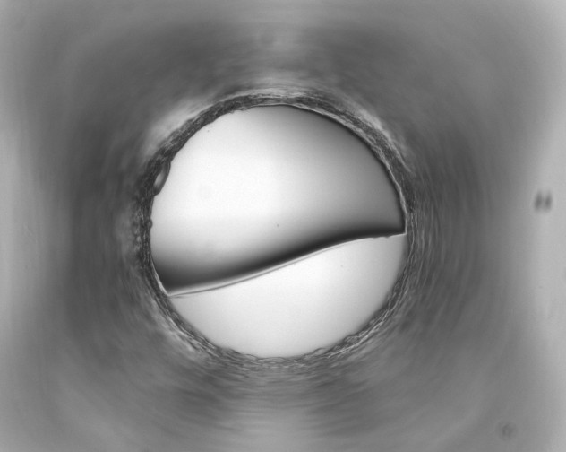 X0000094361448200711021325