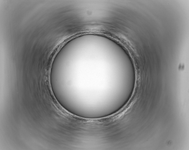 X0000094361449200711021325