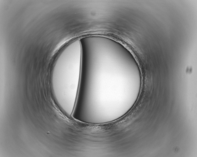 X0000094361450200711021325