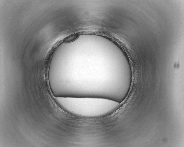 X0000094361451200711021325