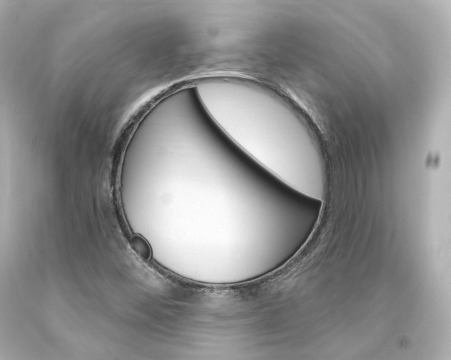 X0000094361452200711021325