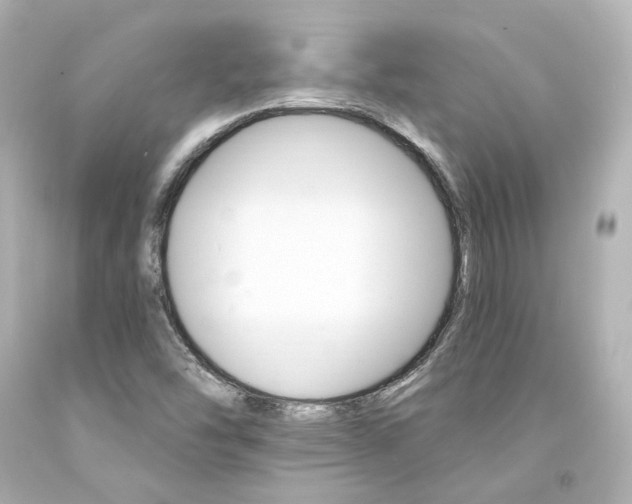 X0000094361454200711021325