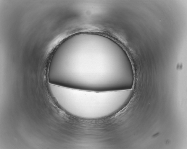 X0000094361455200711021325