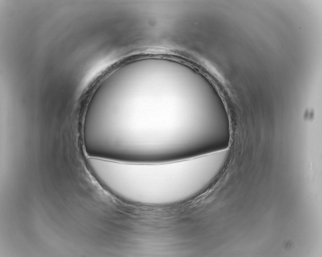 X0000094361456200711021325