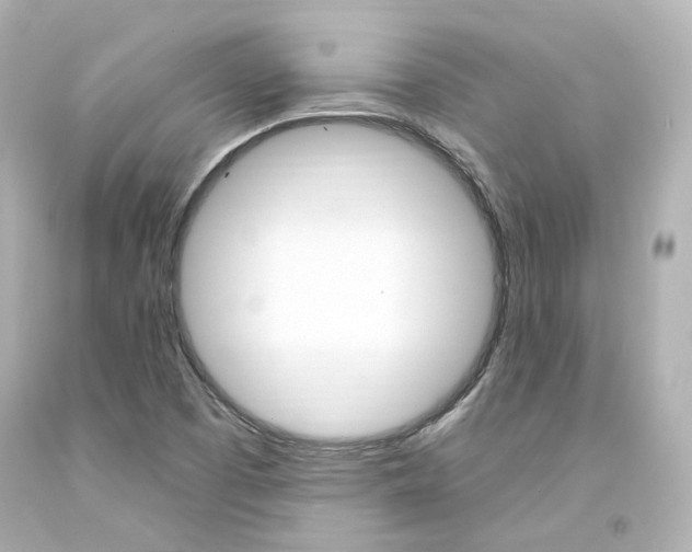 X0000094361457200711021325