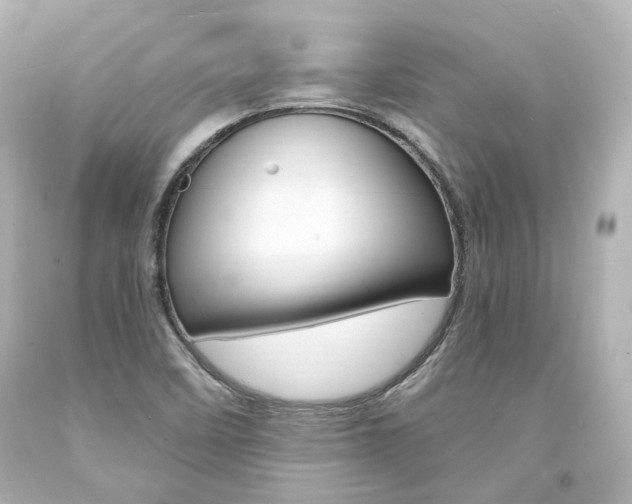 X0000094361458200711021325