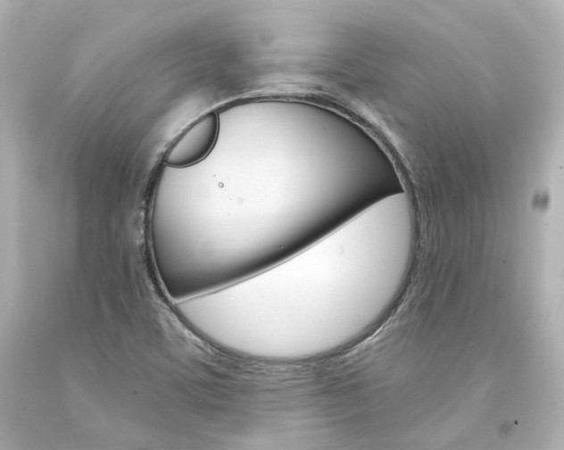 X0000094361459200711021325